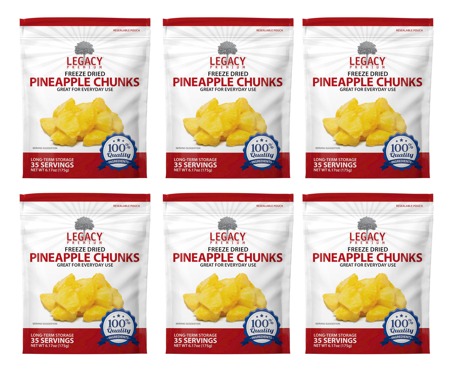 44 Serving Freeze Dried Pineapple Pouch